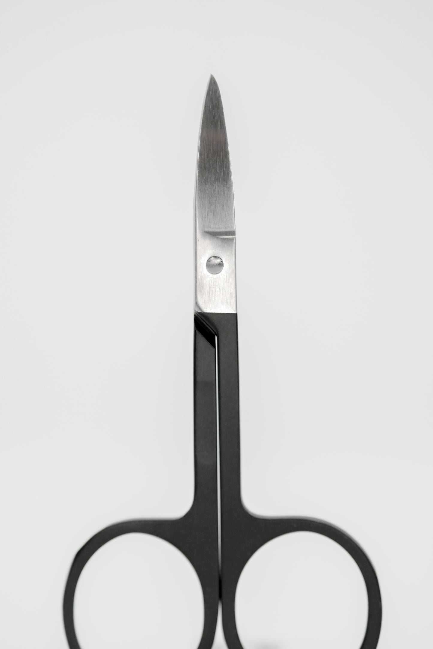 Stainless Steel Scissors