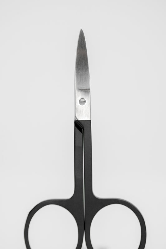 Stainless Steel Scissors
